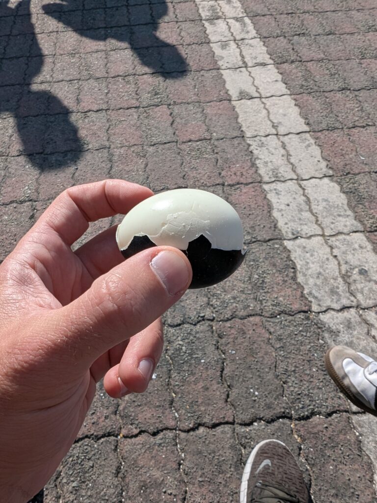 a black egg with normal hard boiled insides